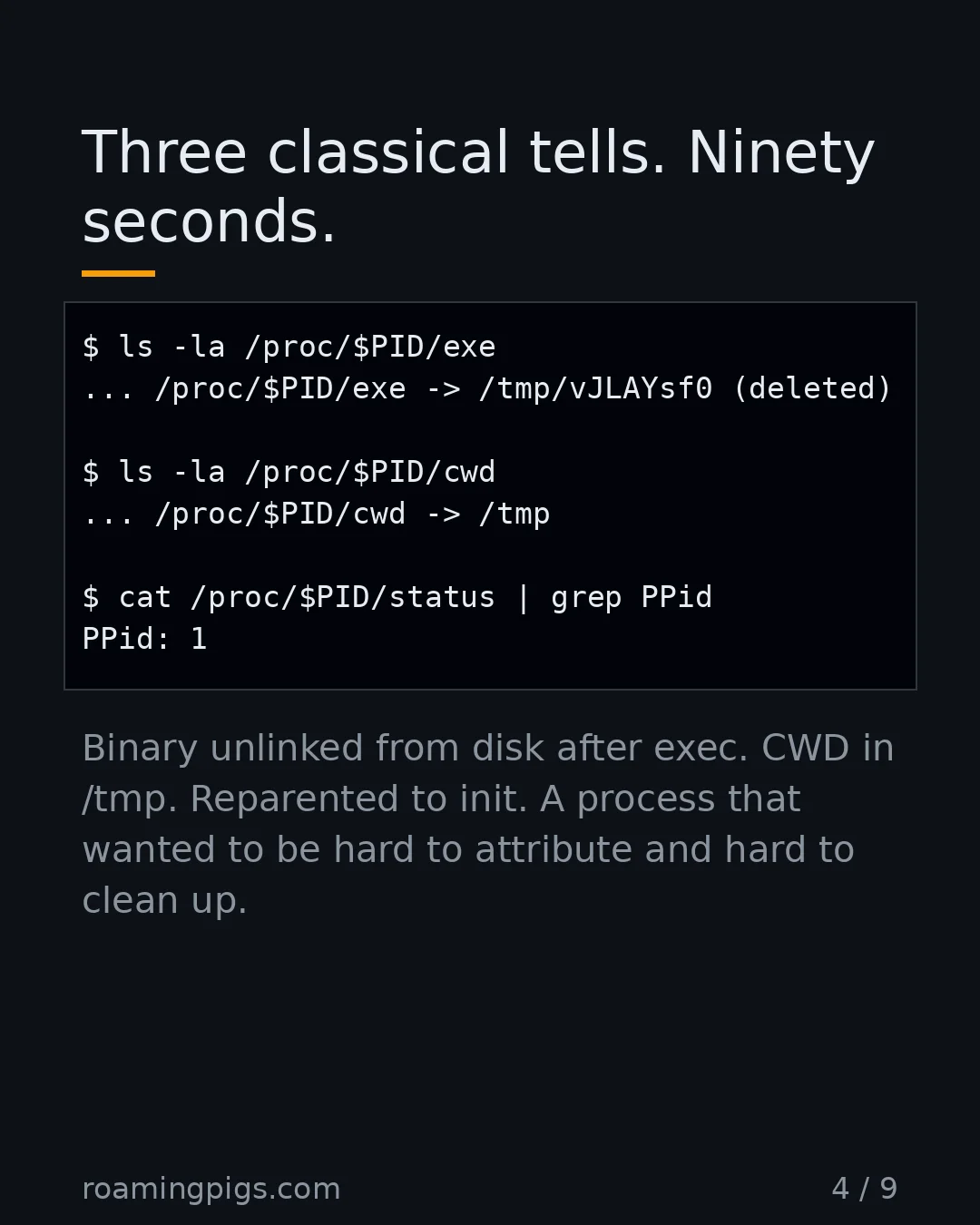 Slide 4 of 9: Three classical tells. Ninety seconds.. Code example. Binary unlinked from disk after exec. CWD in /tmp. Reparented to init. A process that…
